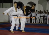 karate (66) (Αντιγραφή)